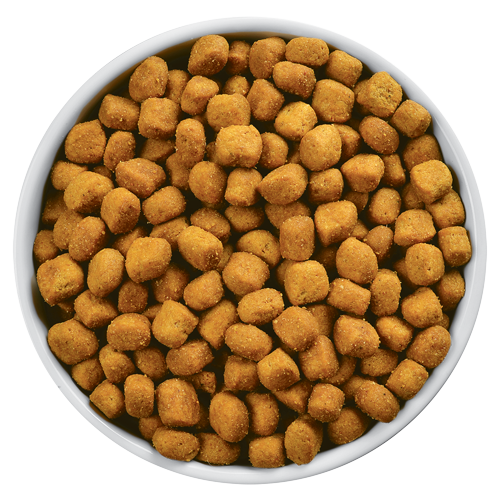 Top Most Recognized Smell in the World